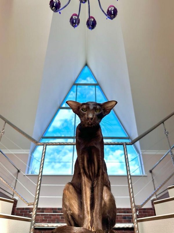 Интересный факт