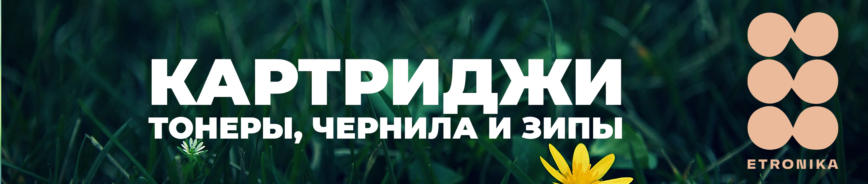 Баннер для озона для компьютера