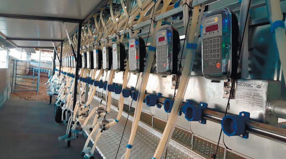 Платформы от "Правильного оборудования" - долговечность работы вашего доильного зала!