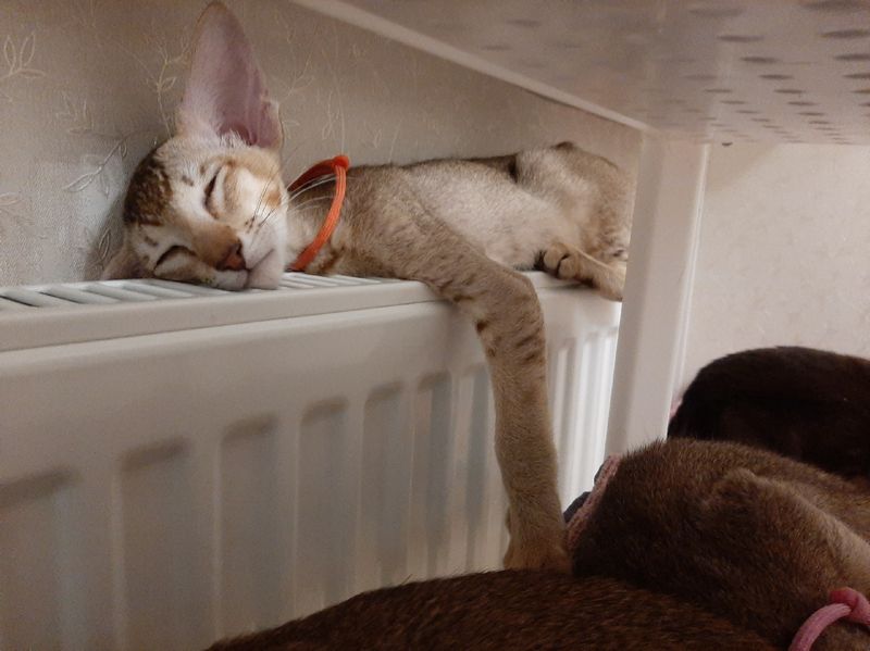 Интересный факт