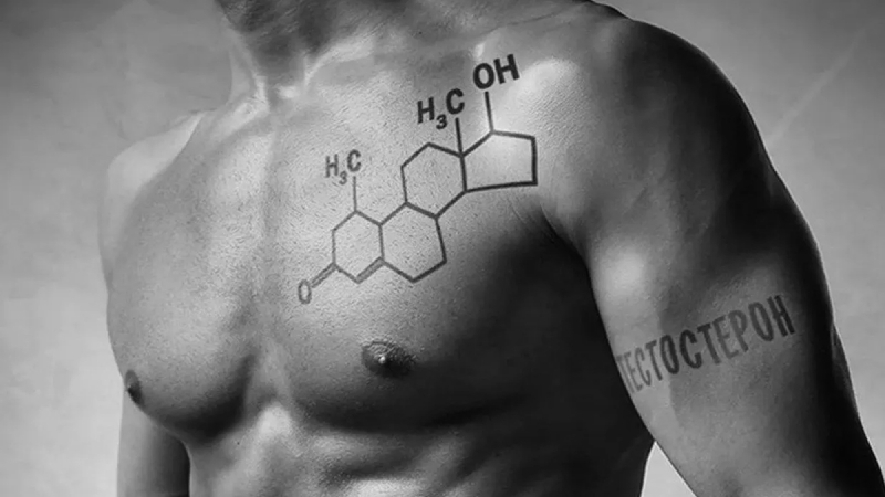 Введение в основы тестостерона, его влияние на мужское здоровье, половую функцию, физическую форму и психоэмоциональное состояние.