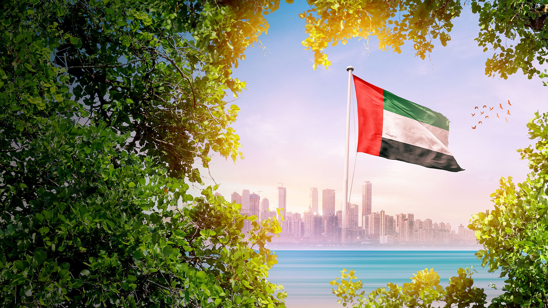 How to Buy A Car in Dubai