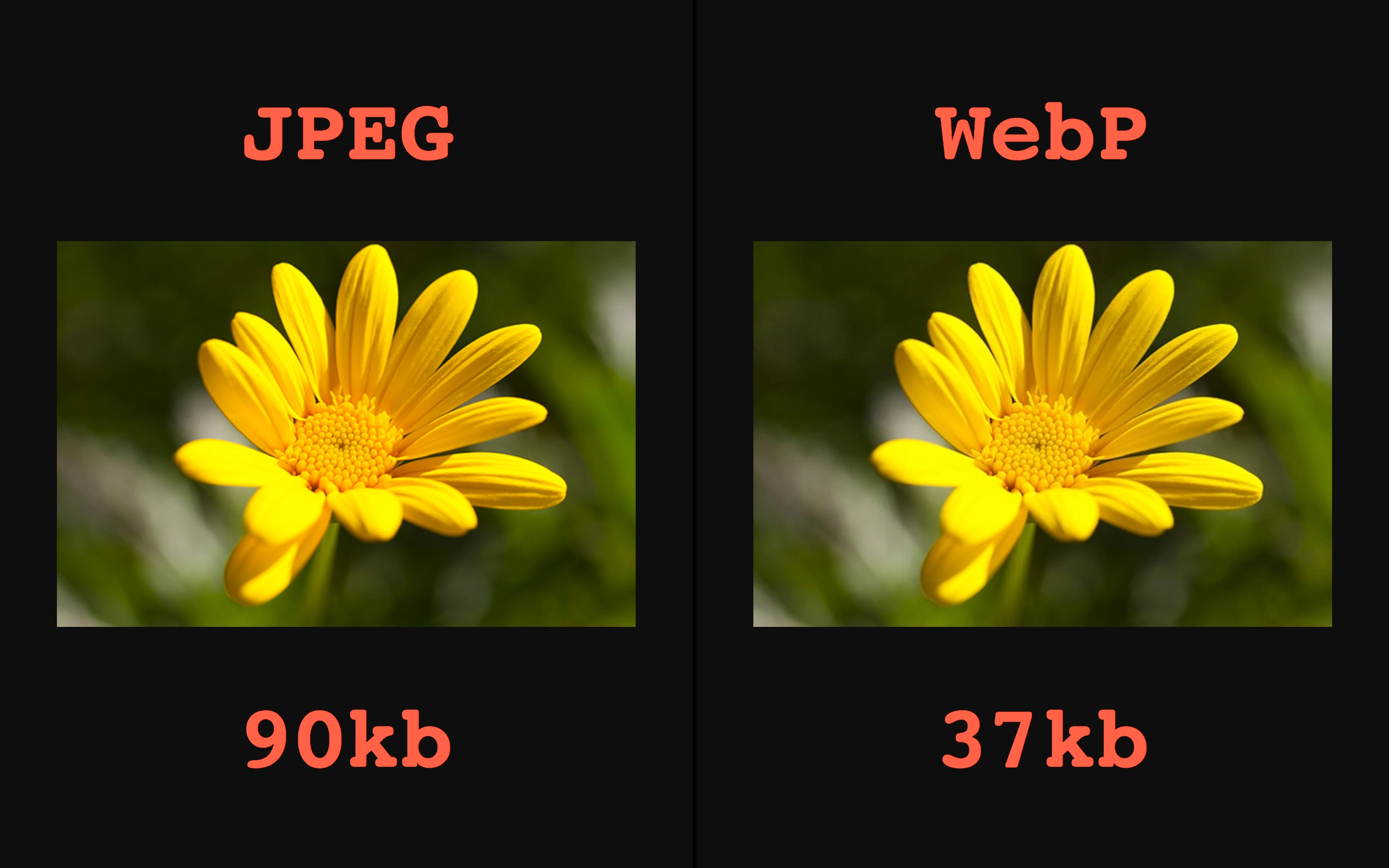 Сравнение jpg и webp фото
