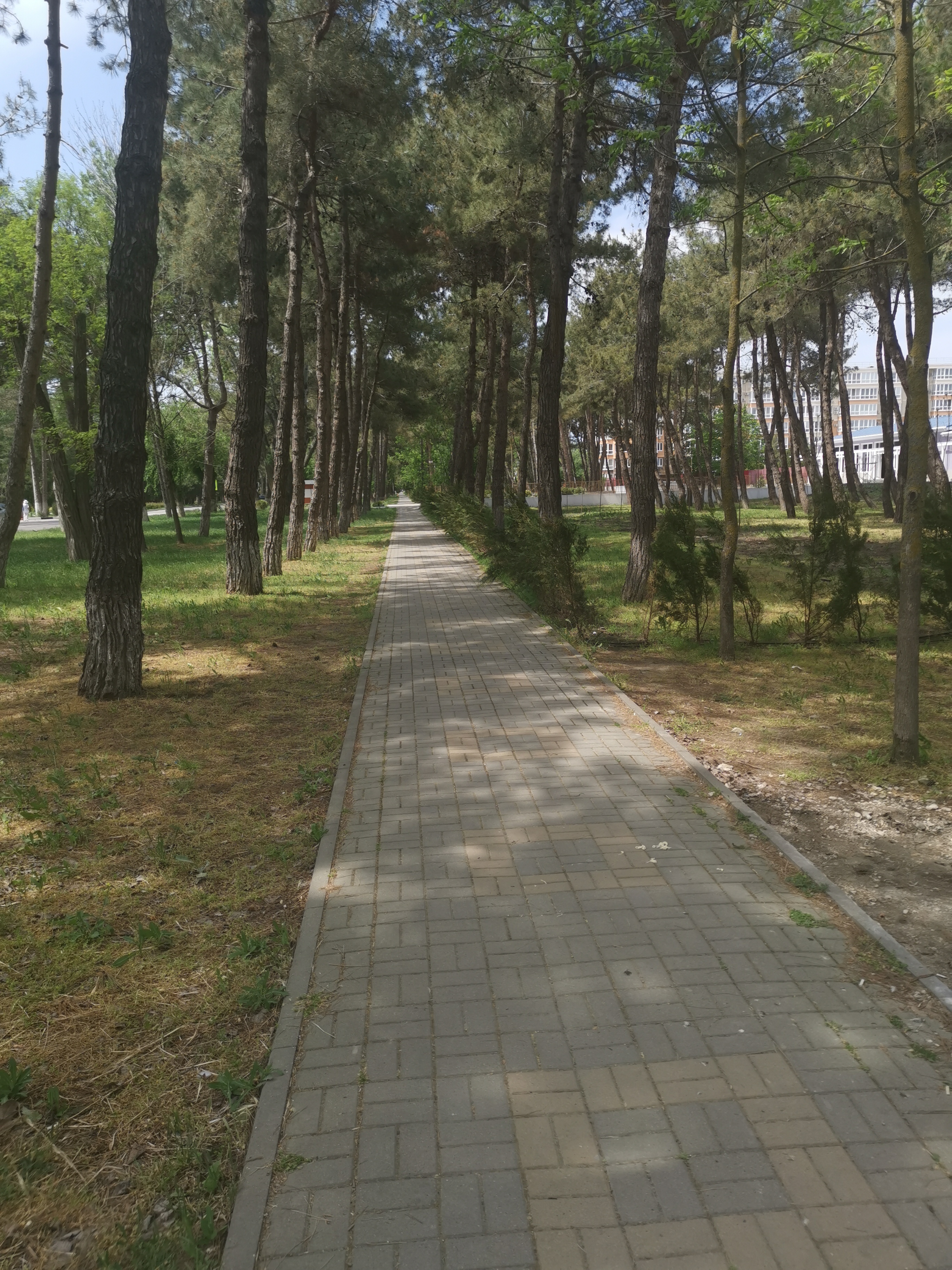 территория комплекса Кавказ