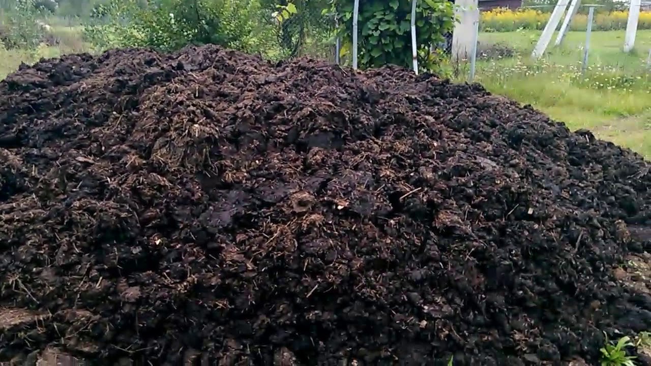 ЩЕБЕНЬ