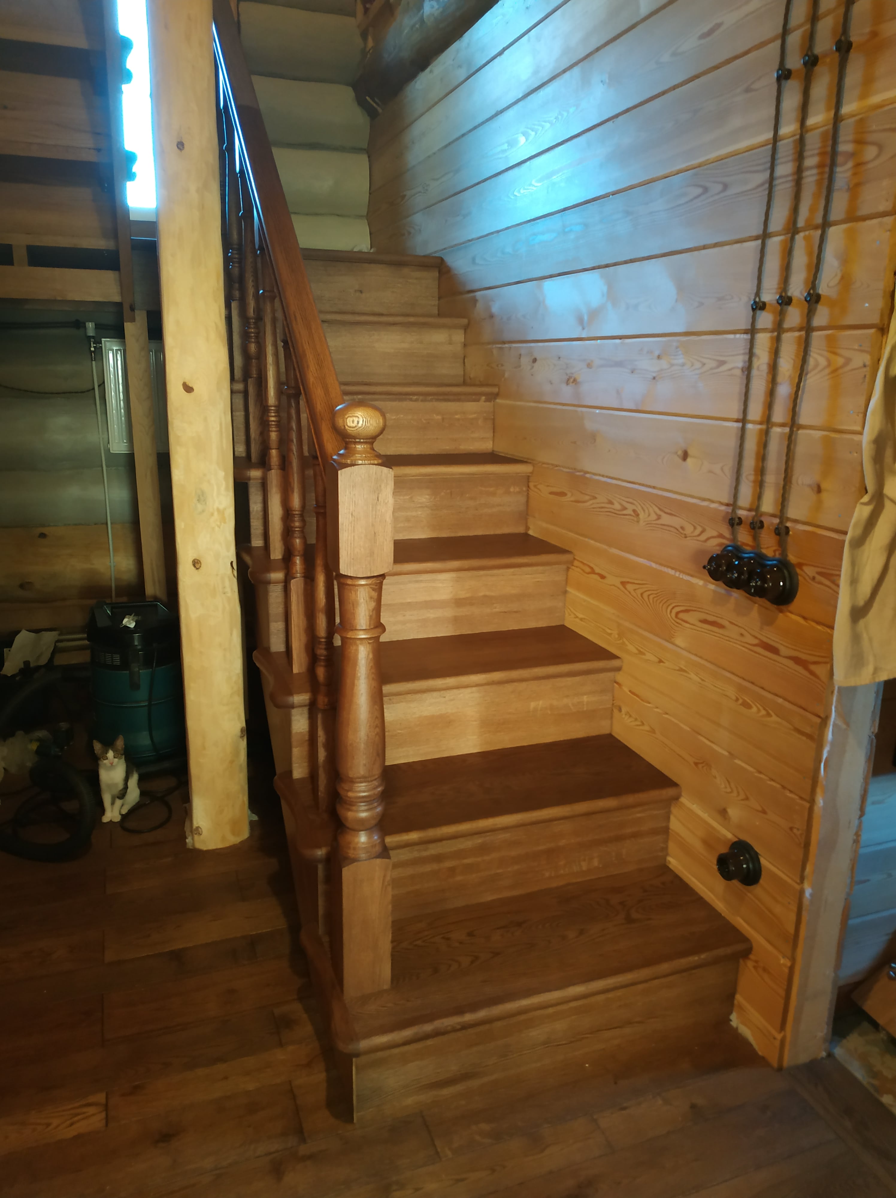 Артём Диденко | Воронеж