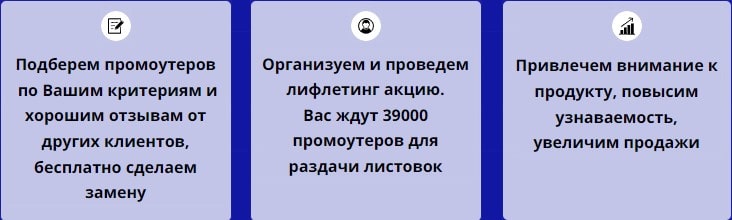 Описание организации лифлетинг акции