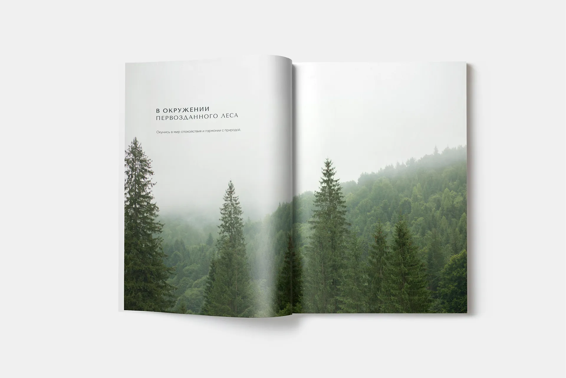 Буклет для жилого района Зори