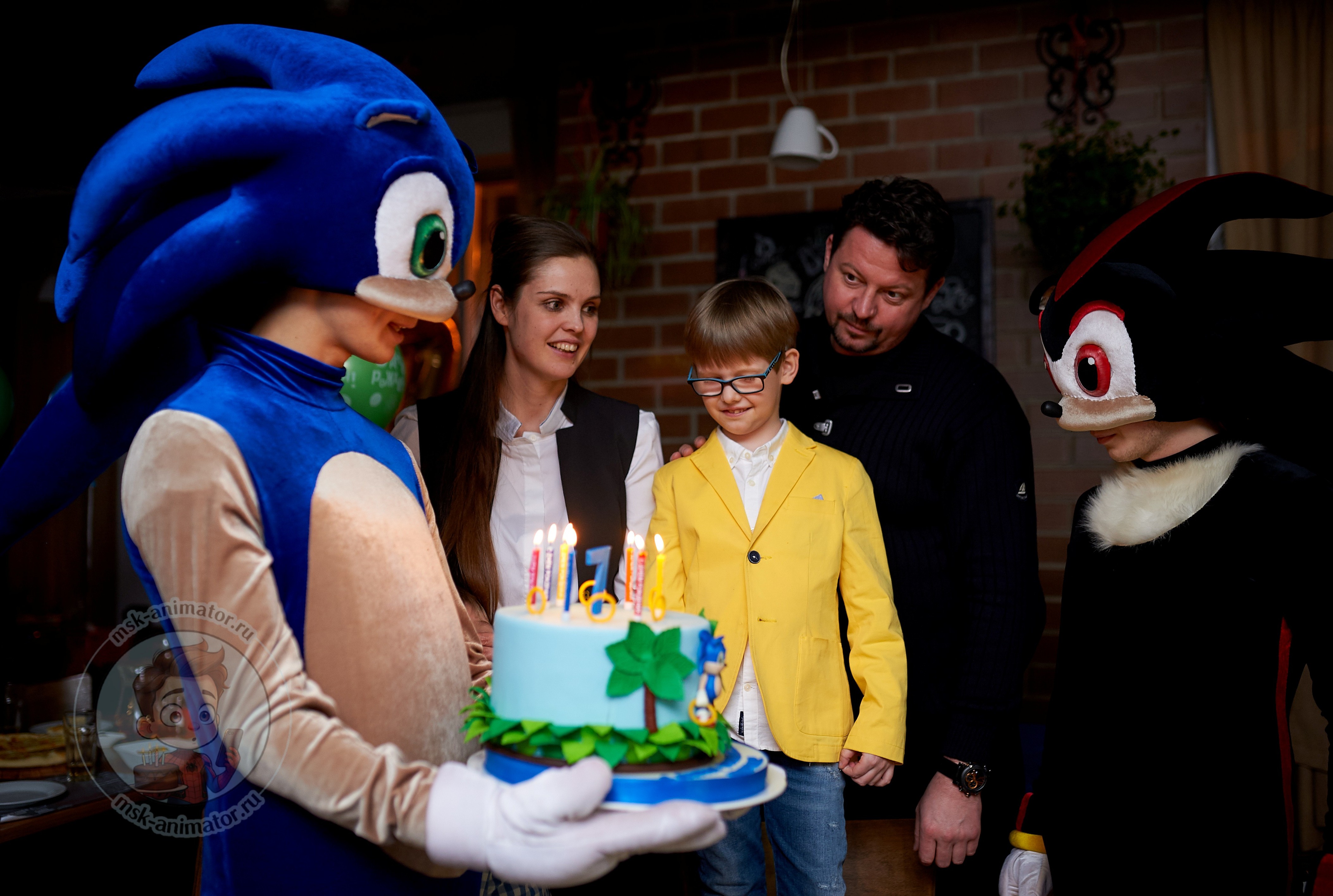 animatory-podolsk-sonik-i-shedou-na-den-rozhdeniya-rebenka