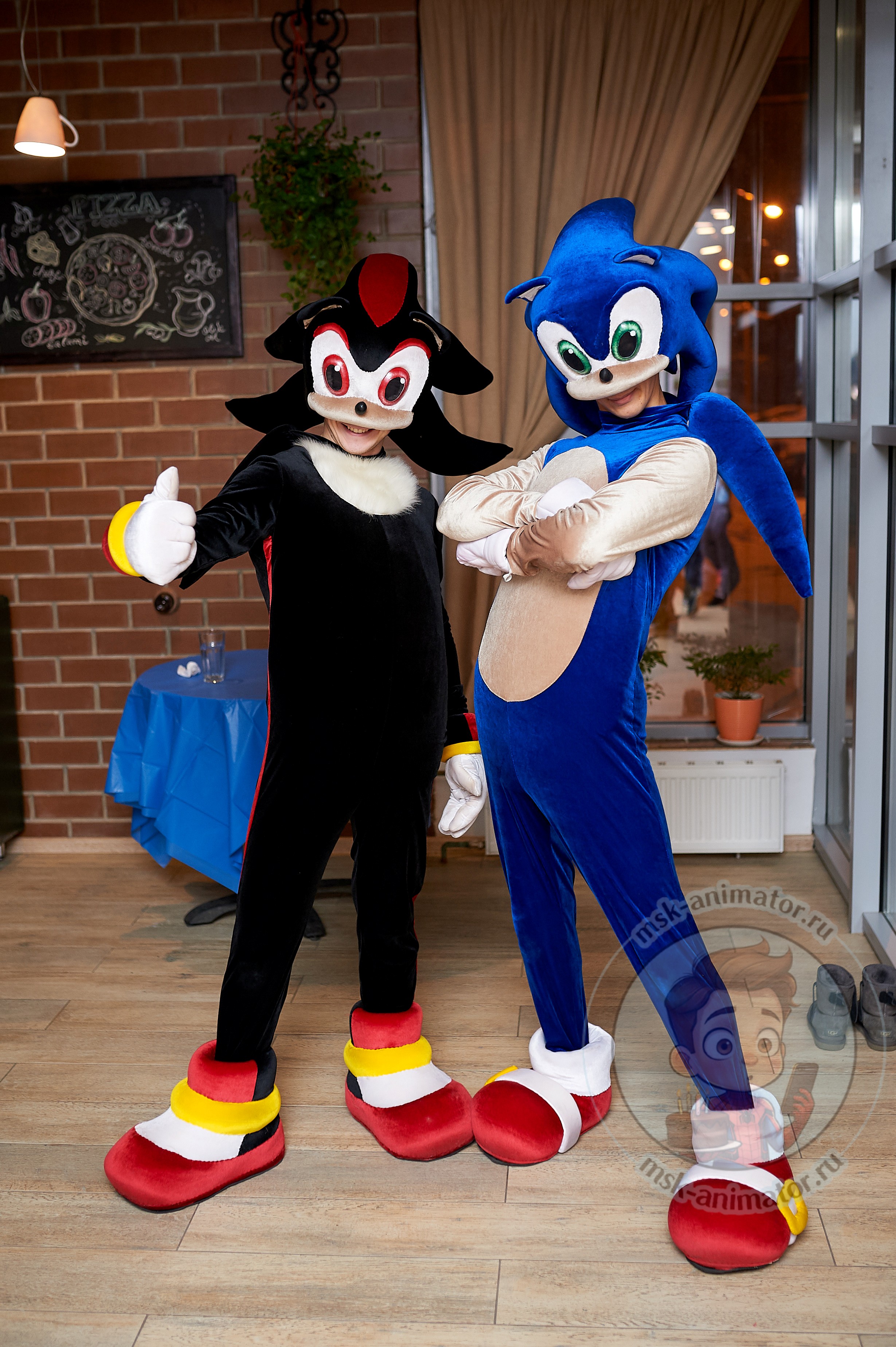 animatory-sonik-i-shedou