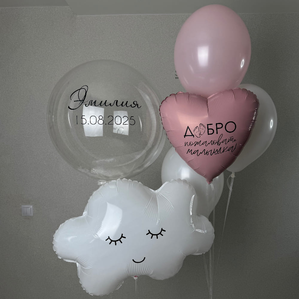 На выписку Эмилия, добро пожаловать малышка!