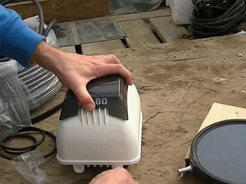 Диагностика септика