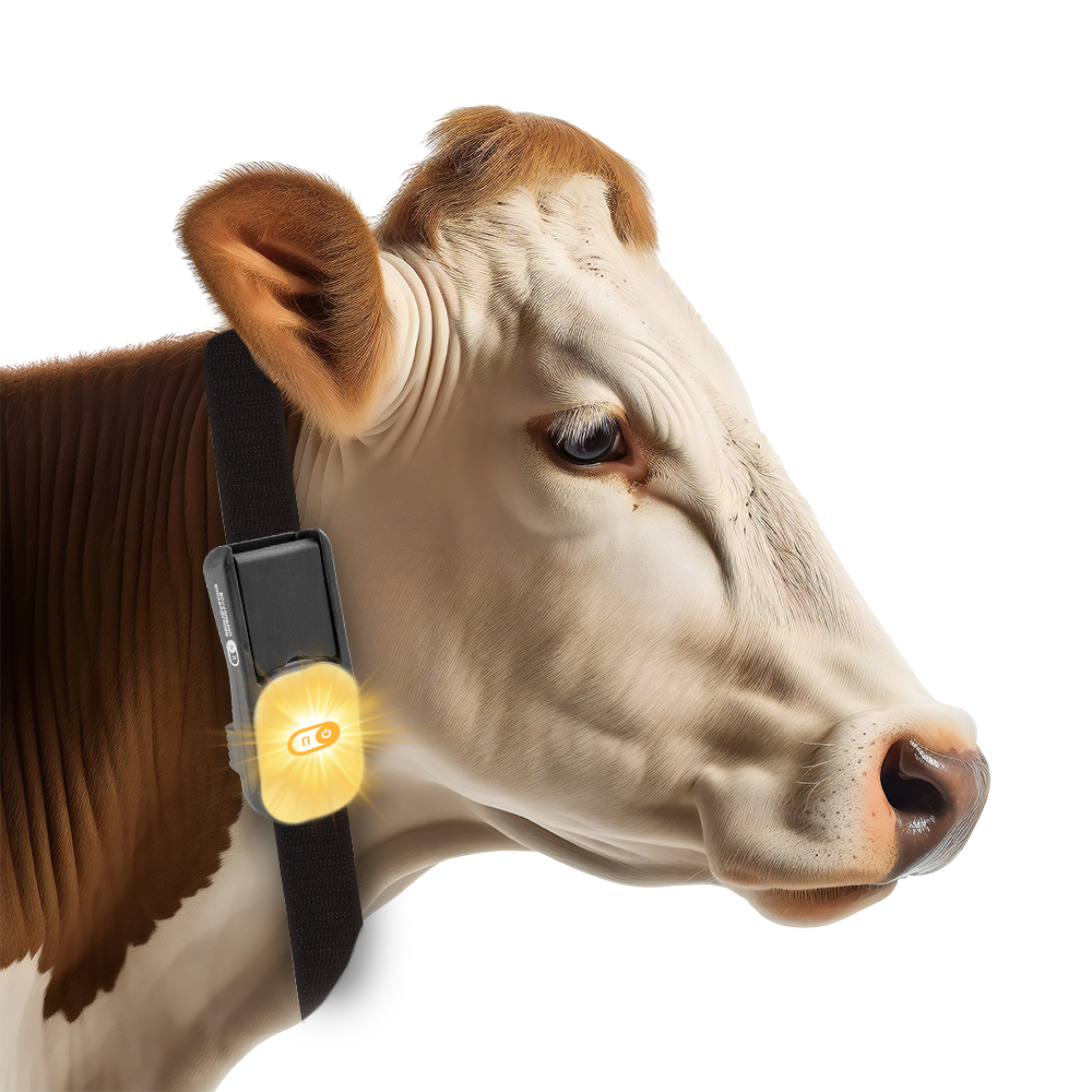 ШЕЙНЫЙ ДАТЧИК