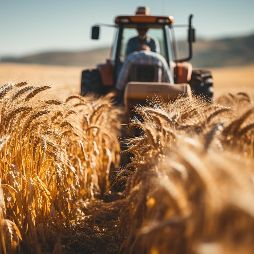 Применение электродвигателей WEG W21 для сельского хозяйства