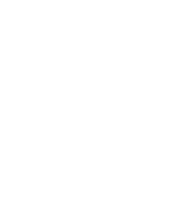 RAM auto