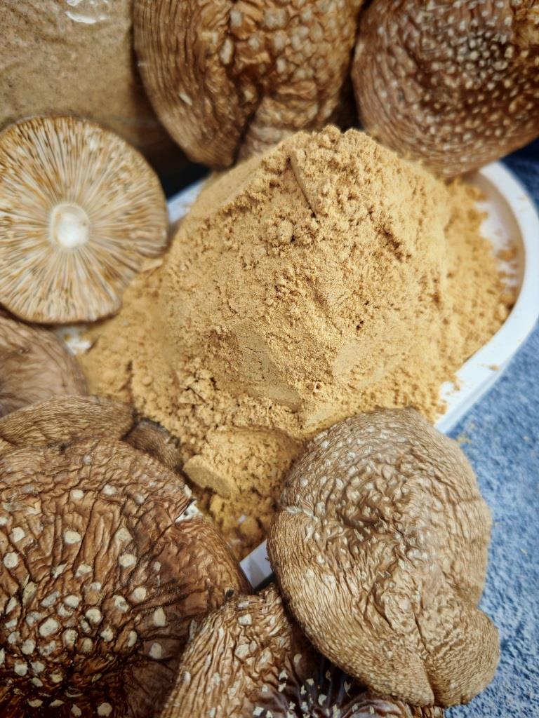 мухоморы молотые молотый гриб порошок