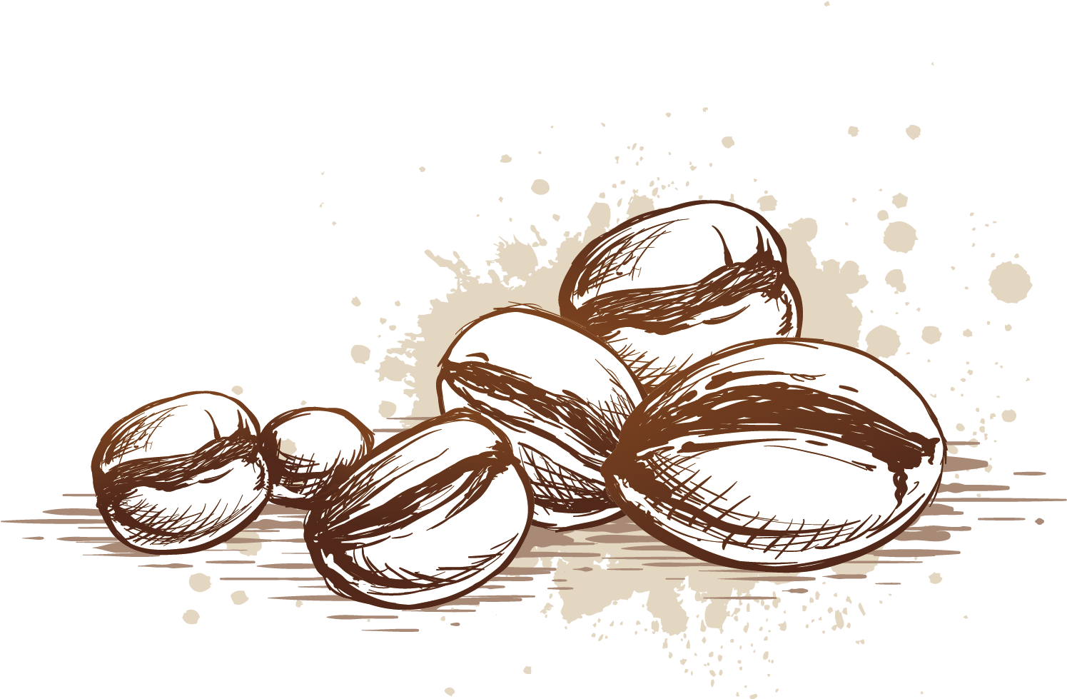 Кофе, латте, органическое тертое какао, специи. Кофе, латте, органическое тертое какао, специи.