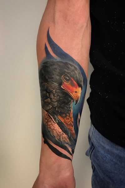 Цветная татуировка птицы , тату салон/студия в Новосибирске