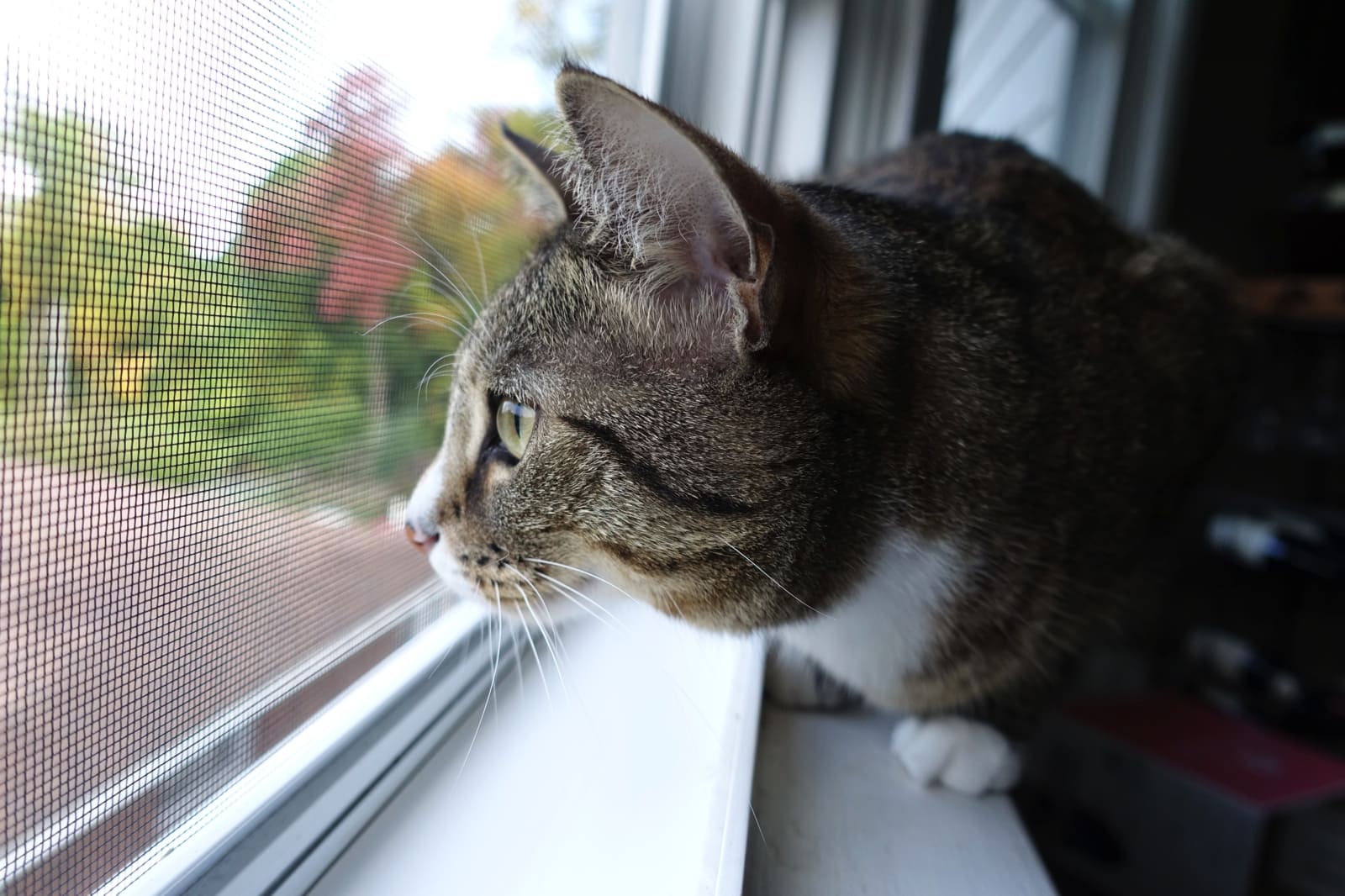 Производство и установка москитных сеток в Московской области \"Служба ...