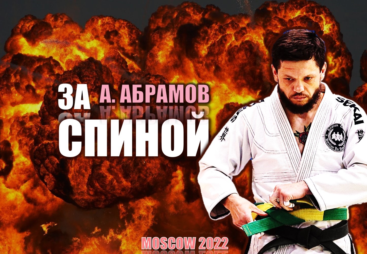 BJJ Online. Онлайн обучение джиуджитсу