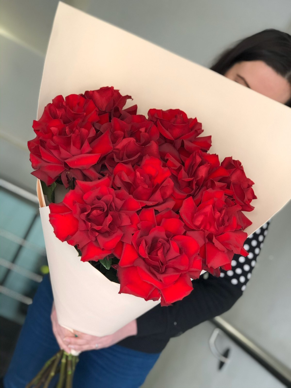 Красная роза Софи Лорен